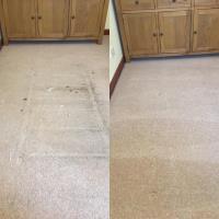 Trees Carpet Cleaning image 10
